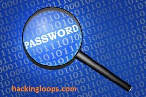 Password Hacking Tools for Penetration Testers