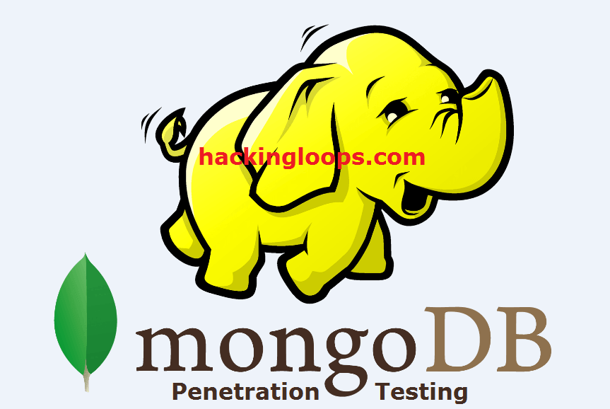Big Data MongoDB Penetration Testing
