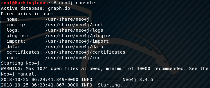 Neo4j console startup