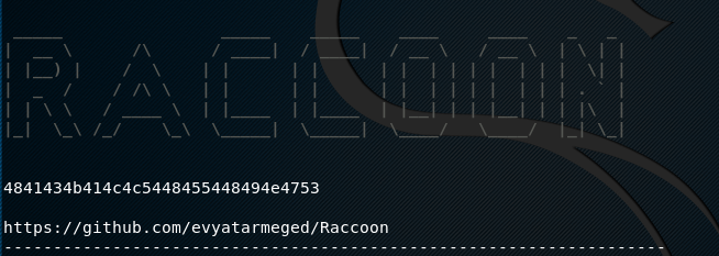 Raccoon
