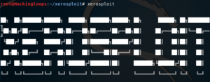 xerosploit