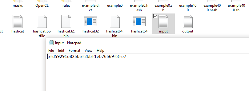input file