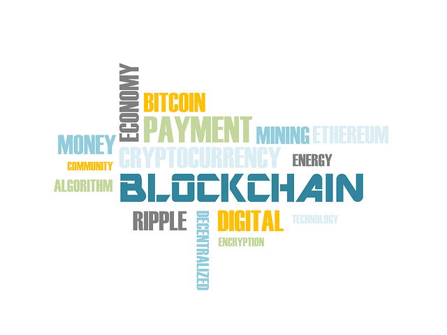 blockchain security certification and training