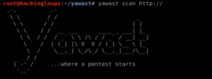 yawast