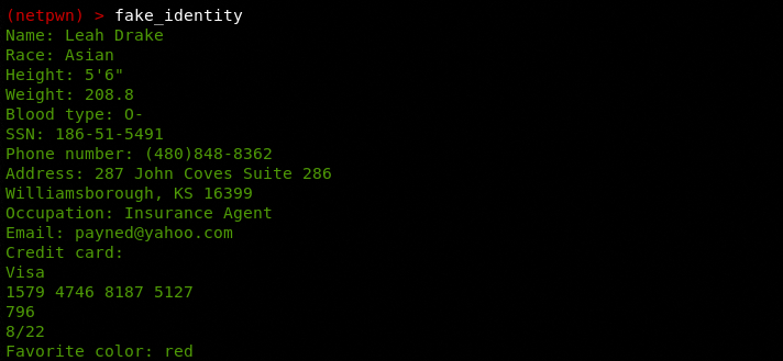 fake identity for pentesting