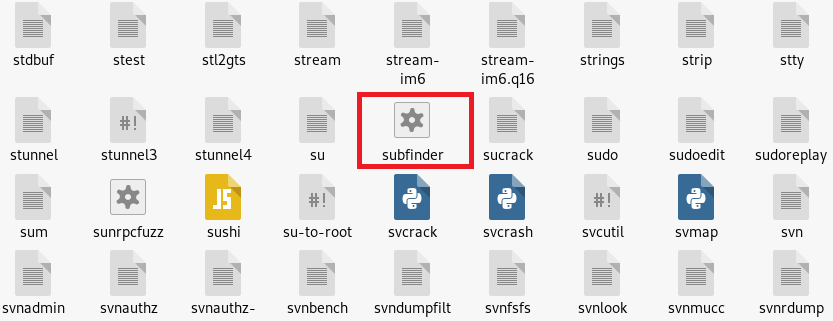 subfinder path setting