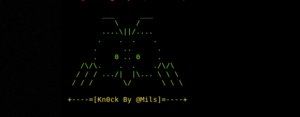 Knock vulnerability scanner