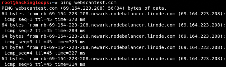 webscantest ping command result
