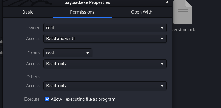 payload execution settings