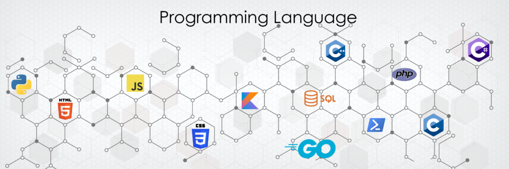 Cyber Security Programming Languages
