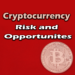 Cryptocurrency Risk and Opportunities