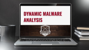 dynamic-malware-analysis