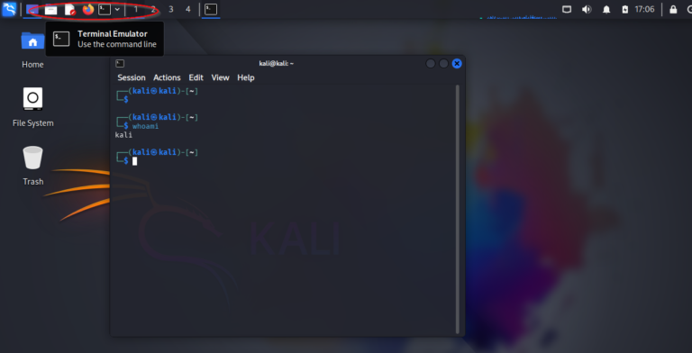 Kali Linux Tutorial